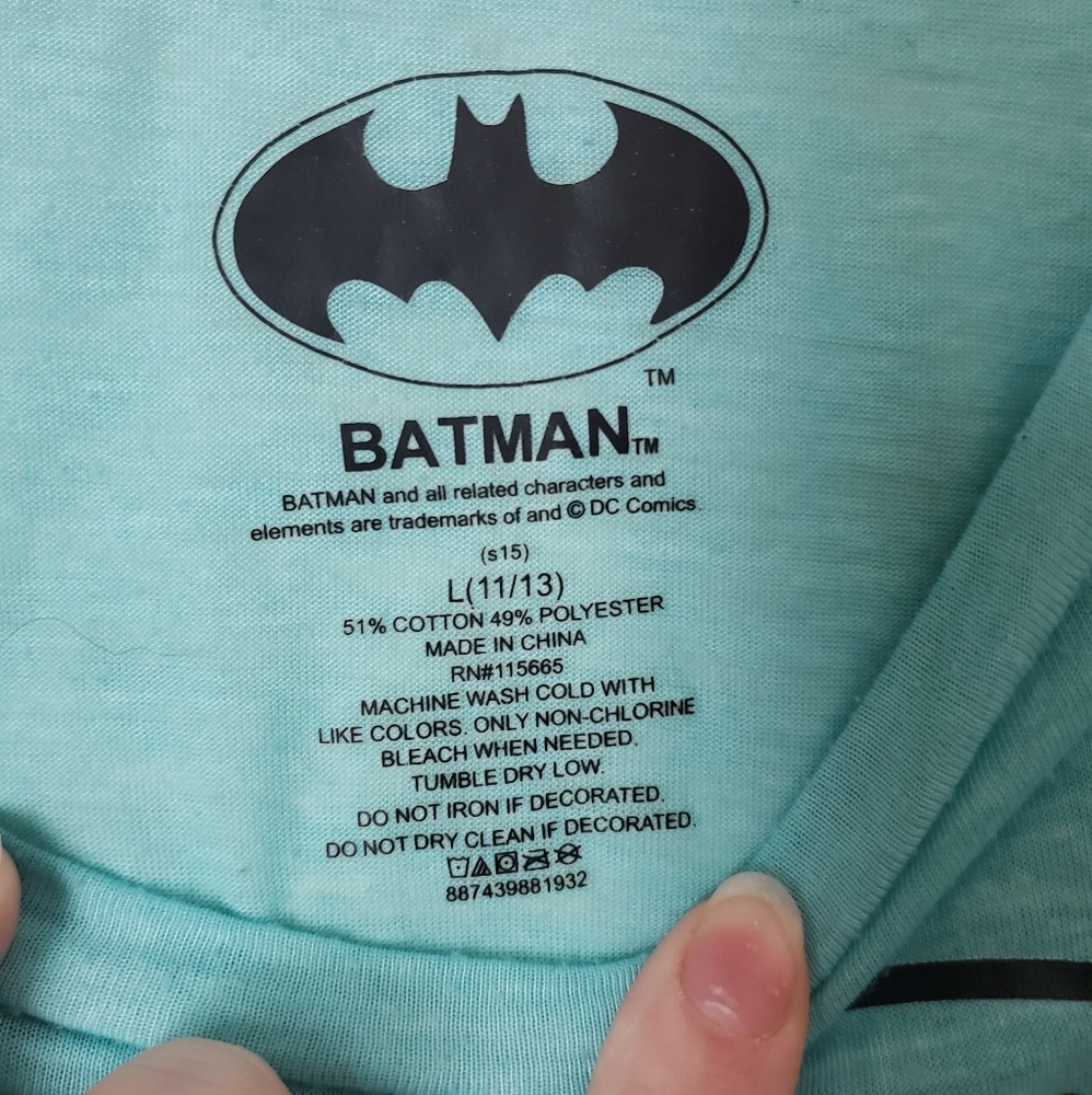 Batman Logo Teal Graphic Tee, Size Lg - Picture 4 of 6